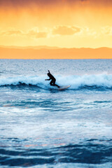 surfer on the sea - obrazy, fototapety, plakaty