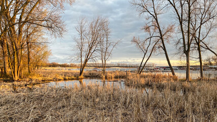 spring marsh next to lake