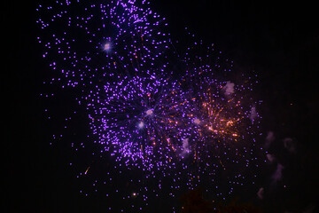 Fireworks light up the sky with dazzling display. Shining Fireworks with golden ring. Celebration fireworks. 