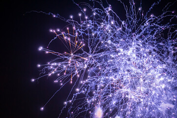 Fototapeta premium Fireworks light up the sky with dazzling display. Shining Fireworks with golden ring. Celebration fireworks. 