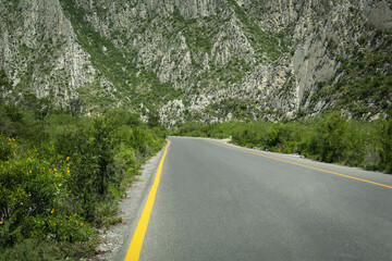 Picturesque view of big mountains and bushes near road