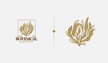 Abstract Plant Botanical Flower Line Art Line Drawing. Universal creative premium symbol. Vector illustration. Creative Minimal design template