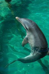 Obraz premium bahamas