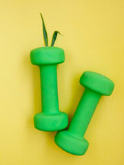 two green heavy dumbbells with leaves in shape of Easter bunny on yellow background. Easter fitness and training composition with copy space. Top view from above, flat lay, vertical.