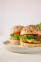 Beef burgers with cheese, fresh vegetables and special sauce on minimal white ceramic plate