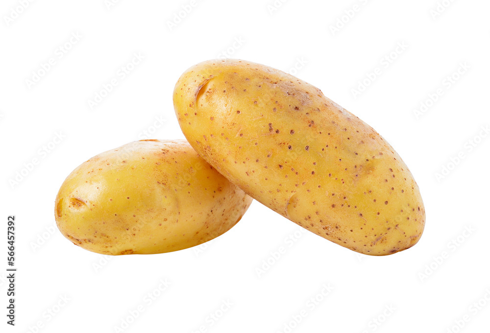 Sticker potato on transparent png