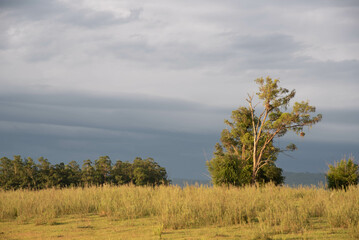 Obraz premium Rural landscape and clouds in southern Brazil