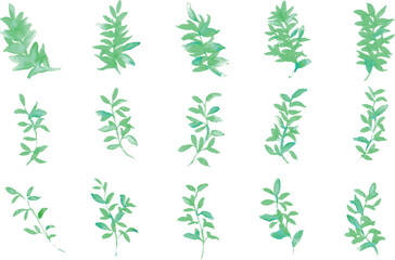 水彩画。水彩タッチの緑の植物ベクターイラスト。エレガントな水彩植物装飾イラスト。
Watercolor painting. Green plant vector illustration with watercolor touch. Elegant watercolor plant decoration illustration.