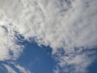 東京のそら(23.1.31)