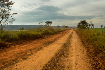 Fototapeta na wymiar Dirt road in rural area with fence dividing route of crops and trees