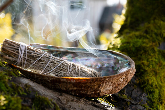 A Close Up Image Of A Burning White Sage Smudge Stick And Abalone Shell Resting On A Tree Branch.  