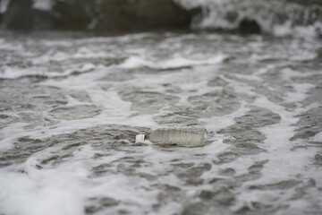 海岸に打ち上げられたペットボトル