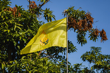 Royal flag of King Vajiralongkorn on a pole in Thailand