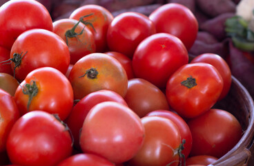 fresh red tomatoes in basket
