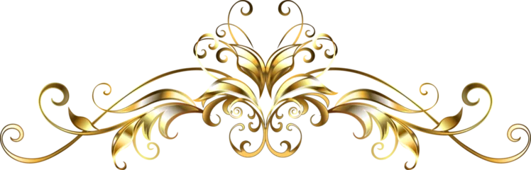 Symmetrical Gold Frame Scroll © Nelli Valova