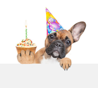 French bulldog puppy wearing sunglasses and party cap looks above empty white banner and shows cupcake with burning candle. isolated on white background