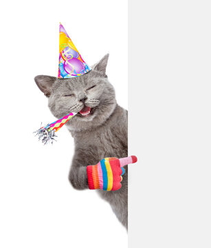 Happy cat wearing party cap blows in party horn and points on empty white banner. isolated on white background
