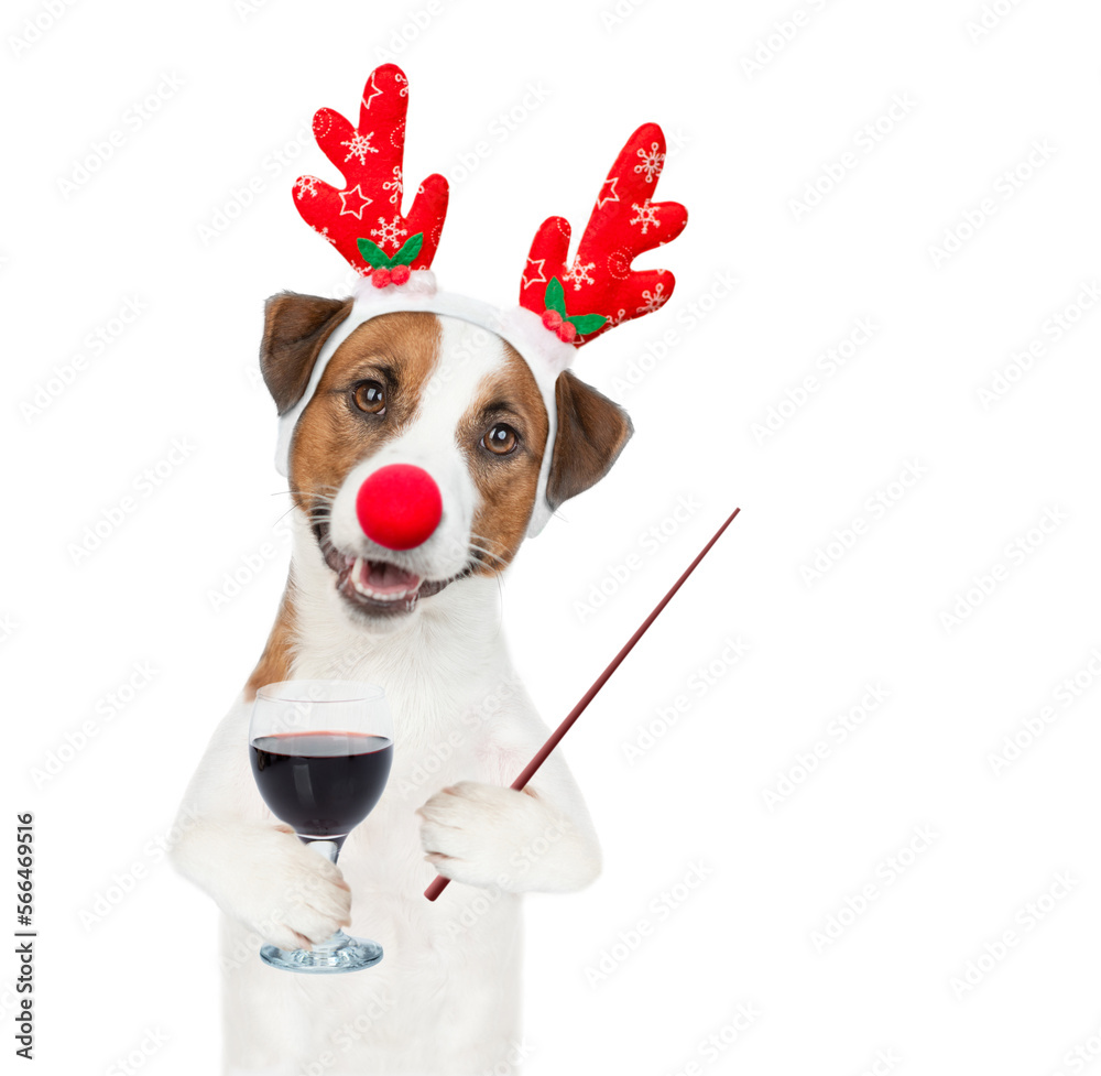 Aufkleber jack russell terrier puppy dressed like santa claus reindeer rudolf holds glass of red wine and poin