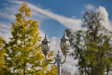 Fototapeta na wymiar Classic charm of white retro street lamps in front of trees
