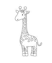 Cute giraffe in line style. Drawing african baby wild animal isolated on white background. Vector sweet outline illustration for childish coloring book.