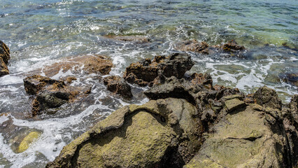 Granite boulders were exposed at low tide. Attached mollusks are visible on the surface. The waves of the turquoise ocean foam around the wet stones. Close-up. Seychelles