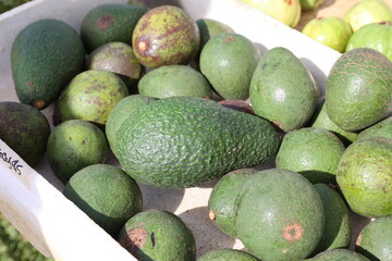 container of avocados