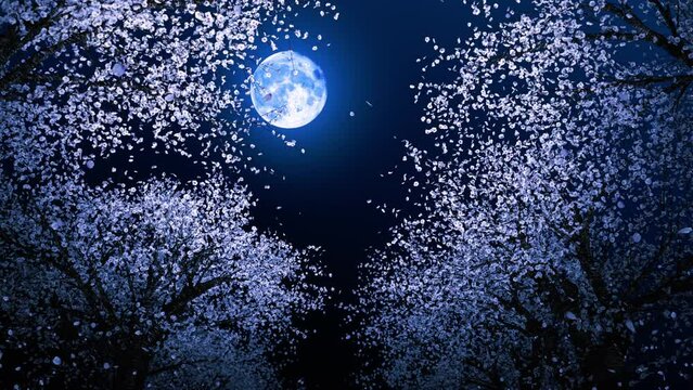 桜並木　月と夜桜