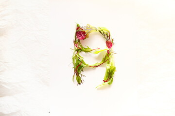 ベビーリーフアート