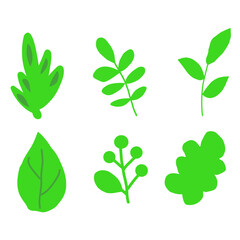 Fototapeta na wymiar set of green leaves vector. flat design leaf. suitable for decorative art