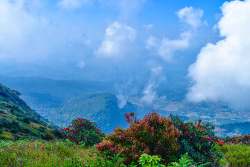 Top of the Doi Inthanon mountain of the Chiang Mai, Thailand