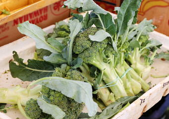 market broccoli