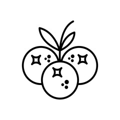 Blueberry flat line icon forest berry sign vector image