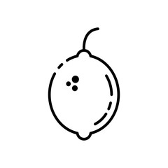 lemon line art icon logos set vector image