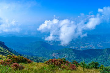 Top of the Doi Inthanon mountain of the Chiang Mai, Thailand