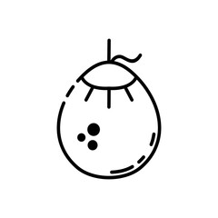 young coconut line art icon logos set vector image