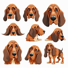 Bloodhound Collection Of Emotions - obrazy, fototapety, plakaty