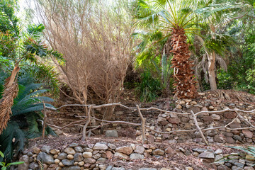 Wooden decorative fence on a stone terrace in the Botanical Garden in the Eilat city, southern Israel