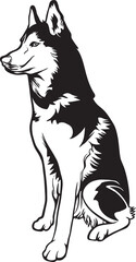 black and white siberian husky puppy vector.