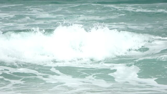 Cape fur seals playing in the ocean waves, 2023
 Robberg Nature Reserve, South Africa, 2023 

