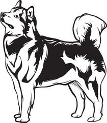 Fototapeta na wymiar black and white siberian husky puppy vector.