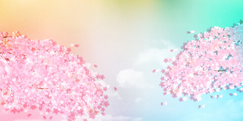 Fototapeta premium 桜 空 風景 背景