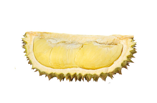 Durain fruit isolated on transparent png