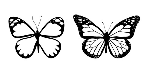 Butterfly image Monarch butterfly silhouette, vector illustration isolated on white background butterflies
