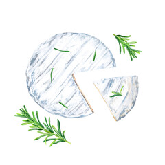 Brie, Camembert cheese and rosemary composition. Watercolor illustration isolated on white background