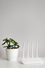 Internet connection concept - white router on table with green plant