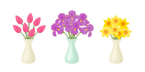 Set of spring bouquets in vases isolated on white. Vector cartoon illustration of beautiful flowers. Pink tulips, yellow daffodils and purple irises.
