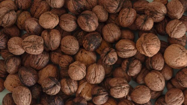 Appearance of organic shelled walnuts on empty tray, top view stop motion