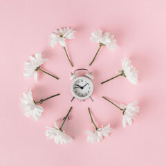 Cute small retro alarm clock with bells decorated with white natural flowers in a circle, top view. Spring season time minimal concept