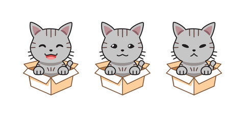 Vector cartoon illustration set of gray tabby cat showing different emotions in cardboard boxes for design.