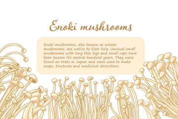 Vector frame illustration. Colorful drawing enoki mushrooms. Asian food for nutrition. Natural fungus for vegans, vegeterians and healthy lifestyle © Arhipteia